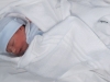 Alessandro a DUE ore