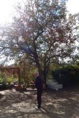 Nonno PLF